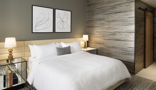 Room, 1 Queen Bed
