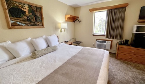 Room, 1 King Bed, Non Smoking