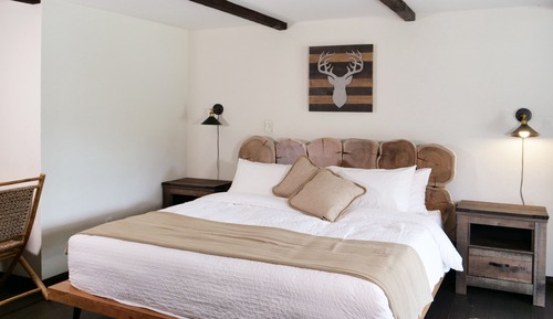 Room, 1 King Bed with Sofa bed