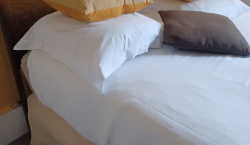 Economy Double Room (salle de bain hors chambre)