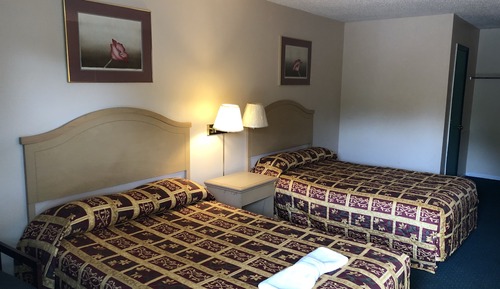 Basic Single Room