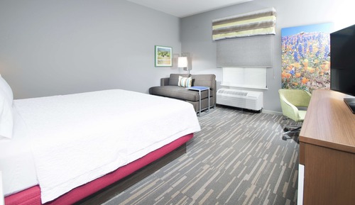 Room, 1 King Bed, Refrigerator