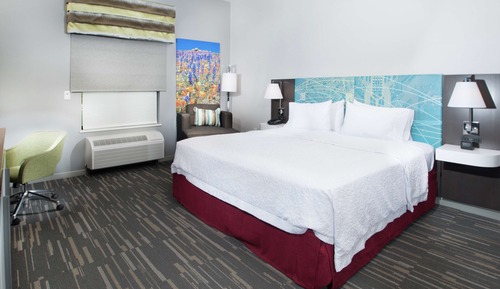 Room, 1 King Bed, Accessible (3x3 Shower, Mobility & Hearing)