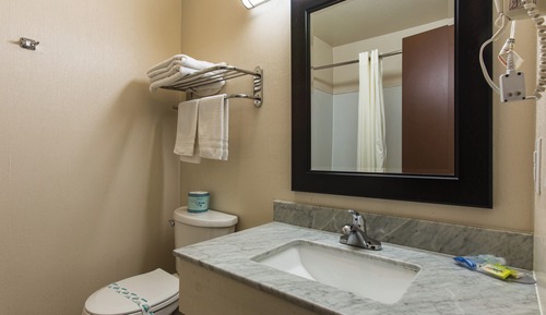 Double Room, 2 Double Beds