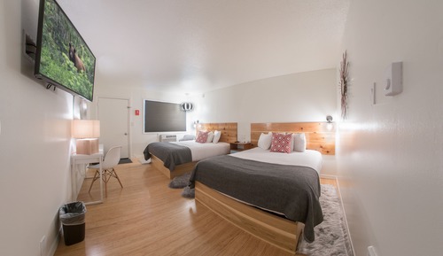 Basic Single Room, 2 Queen Beds