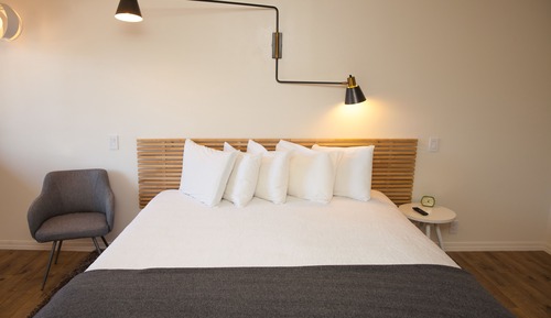 Single Room, 1 King Bed