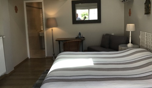 Standard Double or Twin Room (air conditioning)