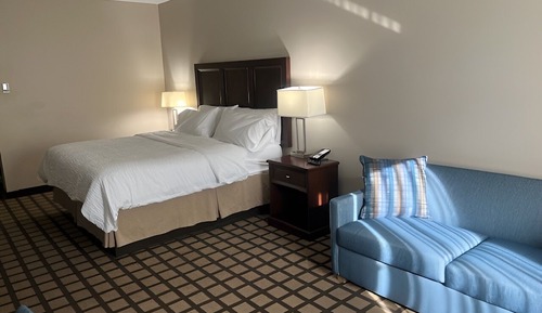 Suite, 1 King Bed