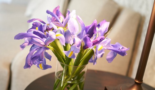 Deluxe Room, 2 Queen Beds (Endicott)