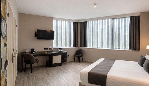 Superior Room, 1 Queen Bed, Accessible, Non Smoking (Twin bed on request)