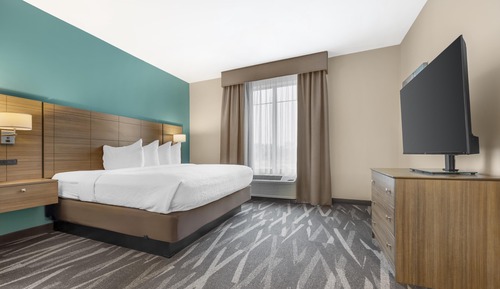 Suite, 1 King Bed, Non Smoking, Refrigerator & Microwave (with Sofabed)