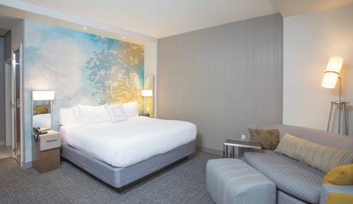 Room, 1 King Bed with Sofa bed, Hearing Accessible