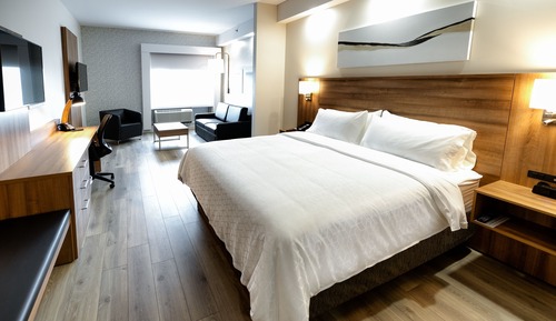 Suite, 1 King Bed with Sofa bed