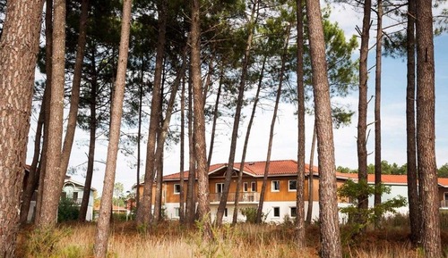 Apartment, 1 Bedroom, Balcony (82)