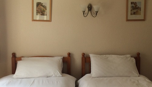 Classic Twin Room, Ensuite, Garden View (Room 2)