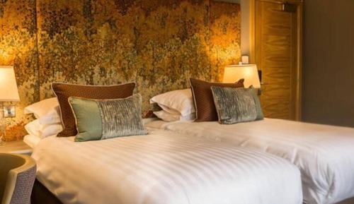 Superior Double or Twin Room