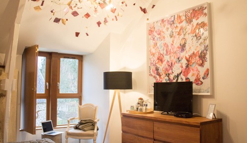 Superior Double or Twin Room, Ensuite, Garden View (Chambre Les Libellules)