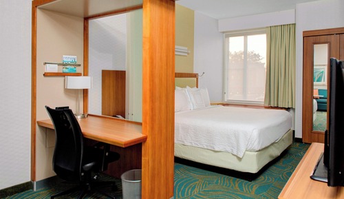 Suite, 1 King Bed with Sofa bed