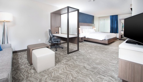 Suite, 1 King Bed with Sofa bed (Hearing Accessible)