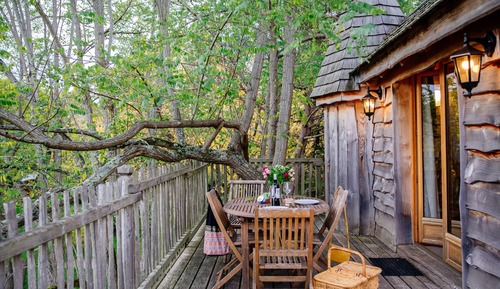 Tree House, Multiple Beds, Non Smoking (Château dans les arbres)