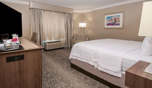 Room, 1 King Bed, Accessible (Hearing)