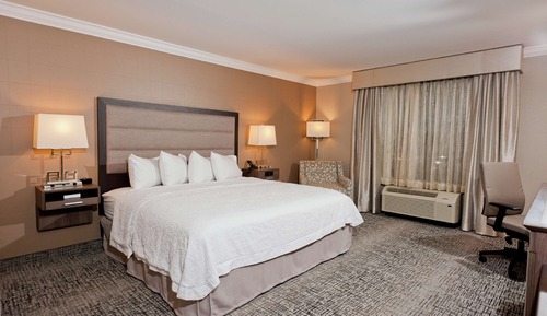 Room, 1 King Bed, Refrigerator