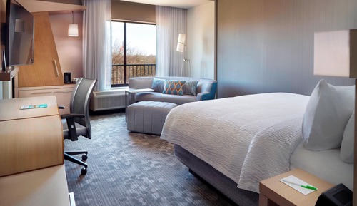 Room, 1 King Bed with Sofa bed