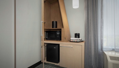 Room, 1 King Bed with Sofa bed