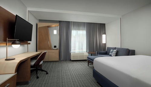 Room, 1 King Bed with Sofa bed (Hearing Accessible)