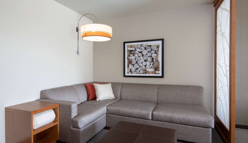 Room, 1 King Bed with Sofa bed, Accessible (Shower)