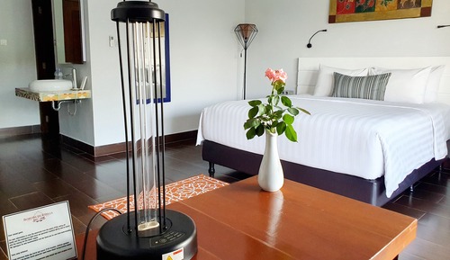 Deluxe Room, 1 King Bed, Balcony, Mountain View