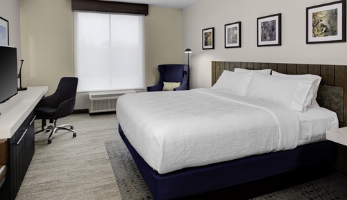 Room, 1 King Bed, Accessible, Bathtub