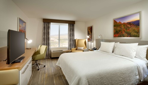 Room, 1 King Bed, Accessible (Roll-In Shower)