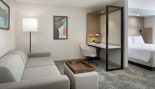 Studio, 1 King Bed with Sofa bed