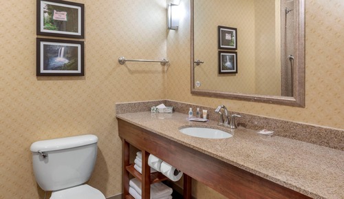 Suite, 1 King Bed with Sofa bed, Non Smoking