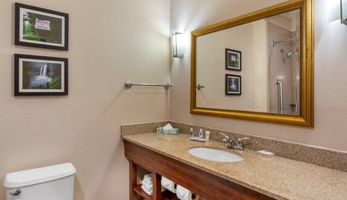 Suite, 1 King Bed, Non Smoking