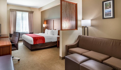 Suite, 1 King Bed with Sofa bed, Accessible, Non Smoking