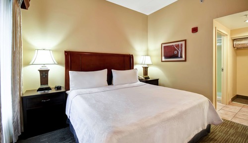 Suite, 1 King Bed with Sofa bed