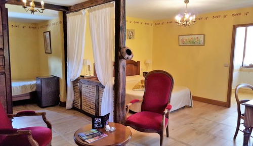 Suite (Tulipe)