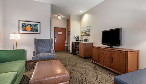 Suite, 1 King Bed, Non Smoking