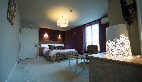 Suite, 1 King Bed (Balneotherapy Castle - Double Suite)