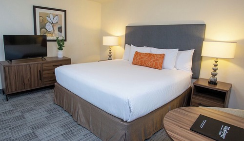 Standard Room, 1 King Bed, Courtyard View (Courtyard King Studio-No View)