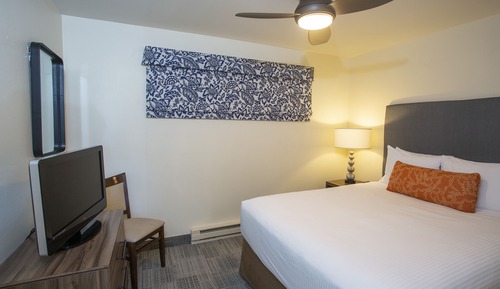 Deluxe Suite, 1 Queen Bed with Sofa bed, Kitchenette, Lake View (1 BR Queen Suite with Lake View)