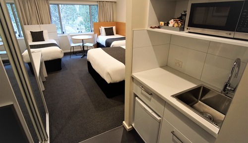 Deluxe Family Room With Park View