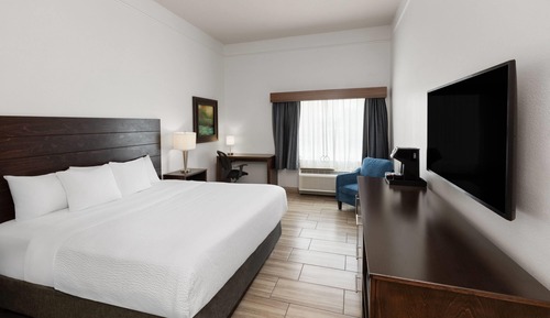 Room, 1 King Bed, Accessible, Non Smoking (Roll-In Shower)