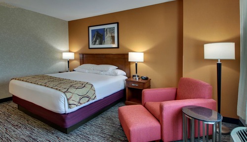 Room, 1 King Bed