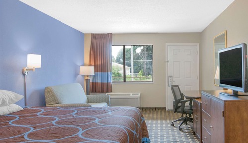 Room, 1 King Bed, Smoking