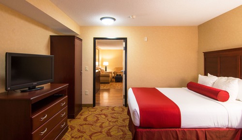 Suite, 1 King Bed with Sofa bed