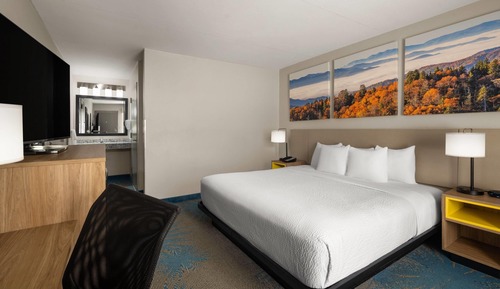 Room, 1 King Bed, Accessible, Non Smoking (Pet-friendly)