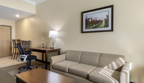 Standard Apartment, 1 King Bed, Non Smoking, Kitchen (with Sofabed)